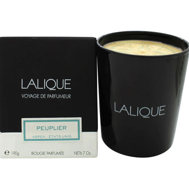 Lalique Candle 190g - Peuplier Aspen - Quality Home Clothing| Beauty