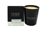 Lalique Candle 190g - Peuplier Aspen - Quality Home Clothing| Beauty
