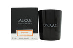 Lalique Candle 190g - Safran Mashhad - Quality Home Clothing| Beauty
